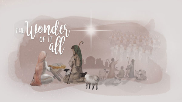 The Wonder of it All