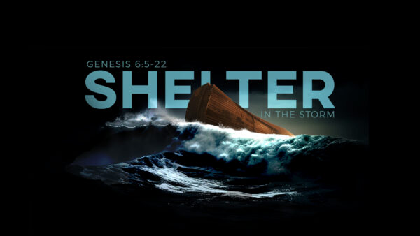 Shelter in the Storm